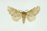  ( - INB0003125290)  @13 [ ] Copyright (2012) Juan Mata Lorenzen Unspecified
