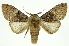  ( - INB0003125554)  @11 [ ] Copyright (2012) Juan Mata Lorenzen Unspecified