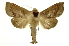  ( - INB0003125906)  @15 [ ] Copyright (2012) Juan Mata Lorenzen Unspecified