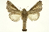  ( - INB0003130755)  @11 [ ] Copyright (2012) Juan Mata Lorenzen Unspecified