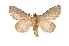  ( - INB0003130781)  @11 [ ] Copyright (2012) I. Chacon Instituto Nacional de Biodiversidad