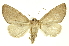  ( - INB0003130784)  @14 [ ] Copyright (2012) Juan Mata Lorenzen INBio