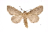  ( - INB0003130786)  @11 [ ] Copyright (2012) I. Chacon Instituto Nacional de Biodiversidad