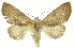  ( - INB0003130807)  @14 [ ] Copyright (2012) Juan Mata Lorenzen INBio