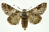  ( - INB0003131278)  @14 [ ] Copyright (2012) Juan Mata Lorenzen Unspecified