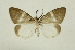  ( - INB0003142460)  @11 [ ] Copyright (2012) Juan Mata Lorenzen Unspecified