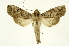  ( - INB0003145059)  @13 [ ] Copyright (2012) Juan Mata Lorenzen Unspecified