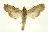  ( - INB0003145059)  @14 [ ] Copyright (2012) Juan Mata Lorenzen Unspecified