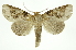  ( - INB0003145701)  @13 [ ] Copyright (2012) Juan Mata Lorenzen Unspecified