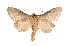  ( - INB0003145730)  @11 [ ] Copyright (2012) I. Chacon Instituto Nacional de Biodiversidad