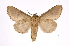  ( - INB0003145921)  @11 [ ] Copyright (2012) I. Chacon Instituto Nacional de Biodiversidad