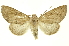  ( - INB0003146367)  @11 [ ] Copyright (2012) Juan Mata Lorenzen INBio