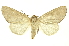  ( - INB0003146367)  @11 [ ] Copyright (2012) Juan Mata Lorenzen INBio