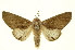  ( - INB0003150365)  @14 [ ] Copyright (2012) Juan Mata Lorenzen INBio