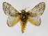  ( - INB0003153781)  @15 [ ] Copyright (2012) J. Montero Instituto Nacional de Biodiversidad