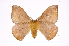  ( - INB0003153967)  @14 [ ] Copyright (2012) I. Chacon Instituto Nacional de Biodiversidad