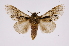  ( - INB0003154100)  @14 [ ] Copyright (2012) I. Chacon Instituto Nacional de Biodiversidad