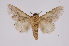  ( - INB0003154100)  @13 [ ] Copyright (2012) I. Chacon Instituto Nacional de Biodiversidad
