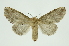  ( - INB0003154163)  @11 [ ] Copyright (2012) Juan Mata Lorenzen Unspecified