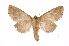  ( - INB0003154183)  @11 [ ] Copyright (2012) I. Chacon Instituto Nacional de Biodiversidad