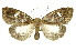  ( - INB0003154933)  @11 [ ] Copyright (2012) Juan Mata Lorenzen Unspecified