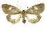  ( - INB0003154933)  @11 [ ] Copyright (2012) Juan Mata Lorenzen Unspecified