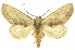  ( - INB0003155611)  @14 [ ] Copyright (2012) Juan Mata Lorenzen Unspecified