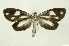  ( - INB0003170742)  @11 [ ] Copyright (2012) Juan Mata Lorenzen Unspecified