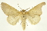  ( - INB0003170760)  @11 [ ] Copyright (2012) J. Montero INBio