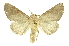  ( - INB0003170763)  @11 [ ] Copyright (2012) Juan Mata Lorenzen INBio