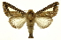  ( - INB0003171058)  @11 [ ] Copyright (2012) Juan Mata Lorenzen Unspecified