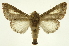  ( - INB0003171058)  @11 [ ] Copyright (2012) Juan Mata Lorenzen Unspecified