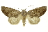  ( - INB0003171108)  @14 [ ] Copyright (2012) Juan Mata Lorenzen INBio