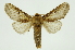  ( - INB0003172390)  @11 [ ] Copyright (2012) Juan Mata Lorenzen Unspecified