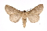  ( - INB0003172718)  @11 [ ] Copyright (2012) I. Chacon Instituto Nacional de Biodiversidad