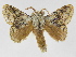  ( - INB0003172726)  @13 [ ] Copyright (2012) J. Montero Instituto Nacional de Biodiversidad