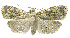  ( - INB0003206052)  @13 [ ] CreativeCommons - Attribution Non-Commercial Share-Alike (2012) National Biodiversity Institute of Costa Rica National Biodiversity Institute of Costa Rica