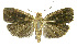  ( - INB0003215979)  @12 [ ] CreativeCommons - Attribution Non-Commercial Share-Alike (2012) National Biodiversity Institute of Costa Rica National Biodiversity Institute of Costa Rica