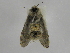  ( - INB0003219316)  @13 [ ] Copyright (2012) J. Montero Instituto Nacional de Biodiversidad