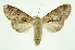  ( - INB0003300314)  @11 [ ] Copyright (2012) Juan Mata Lorenzen Unspecified