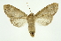  ( - INB0003300314)  @11 [ ] Copyright (2012) Juan Mata Lorenzen Unspecified