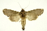  ( - INB0003300600)  @13 [ ] Copyright (2012) Juan Mata Lorenzen Unspecified