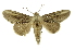  ( - INB0003300672)  @11 [ ] Copyright (2012) Juan Mata Lorenzen Unspecified