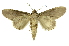  ( - INB0003300672)  @11 [ ] Copyright (2012) Juan Mata Lorenzen Unspecified