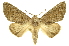  ( - INB0003300900)  @14 [ ] Copyright (2012) Juan Mata Lorenzen INBio