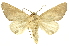  ( - INB0003300901)  @14 [ ] Copyright (2012) J. Montero INBio