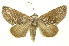  ( - INB0003301086)  @14 [ ] Copyright (2012) Juan Mata Lorenzen Unspecified