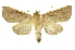  ( - INB0003301117)  @15 [ ] Copyright (2012) Juan Mata Lorenzen Unspecified