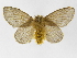  ( - INB0003301239)  @13 [ ] Copyright (2012) J. Montero Instituto Nacional de Biodiversidad
