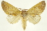  ( - INB0003301323)  @14 [ ] Copyright (2012) J. Montero INBio